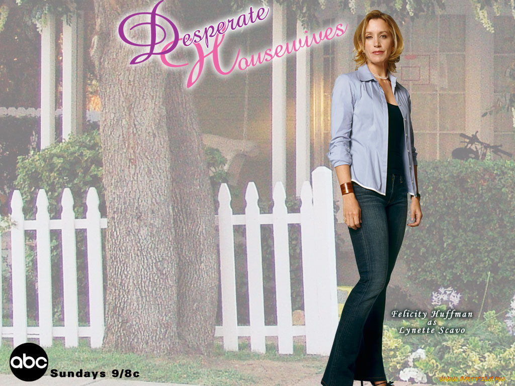 desperate, housewifes, , , housewives